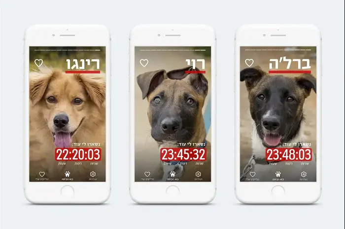 אפליקציית לאימוץ כלבים (יח"צ) אפליקציית לאימוץ כלבים (יח"צ)