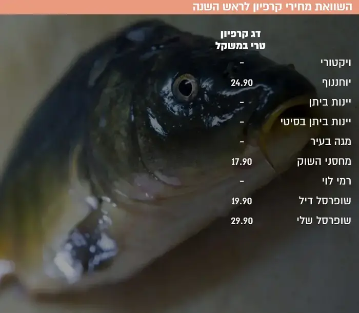 השוואה של דג ודבש (יח"צ , פרייסז) השוואה של דג ודבש (יח"צ , פרייסז)
