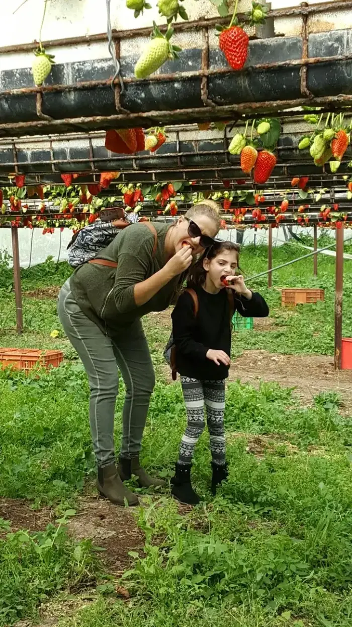 שמחה ומור מרציאנו שנולדה כפג (מערכת וואלה! NEWS , באדיבות המשפחה) שמחה ומור מרציאנו שנולדה כפג (מערכת וואלה! NEWS , באדיבות המשפחה)