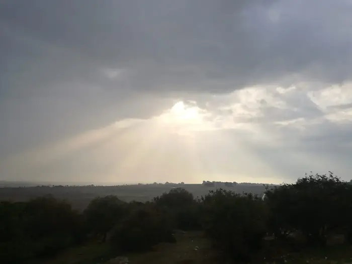 הגליל התחתון, אחרי הגשם, נובמבר (מערכת וואלה! NEWS , אלי אשכנזי) הגליל התחתון, אחרי הגשם, נובמבר (מערכת וואלה! NEWS , אלי אשכנזי)