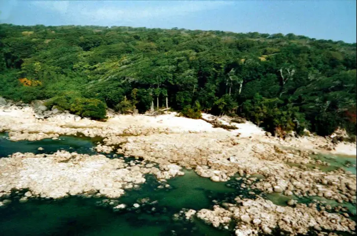 האי סנטינל הצפוני, הודו, 2004 (AP) האי סנטינל הצפוני, הודו, 2004 (AP)