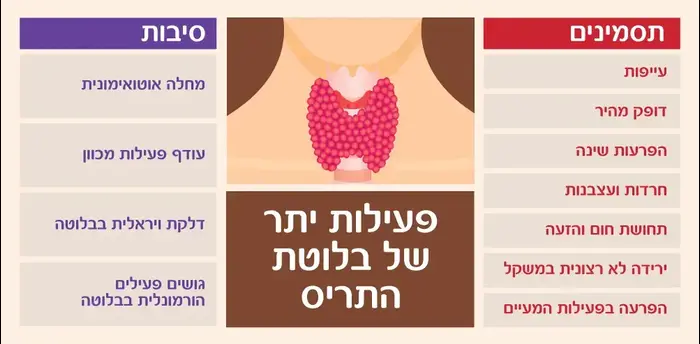 אינפוגרפיקה מחלות של בלוטת התריס (יח"צ) אינפוגרפיקה מחלות של בלוטת התריס (יח"צ)