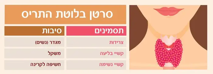אינפוגרפיקה מחלות של בלוטת התריס (יח"צ) אינפוגרפיקה מחלות של בלוטת התריס (יח"צ)