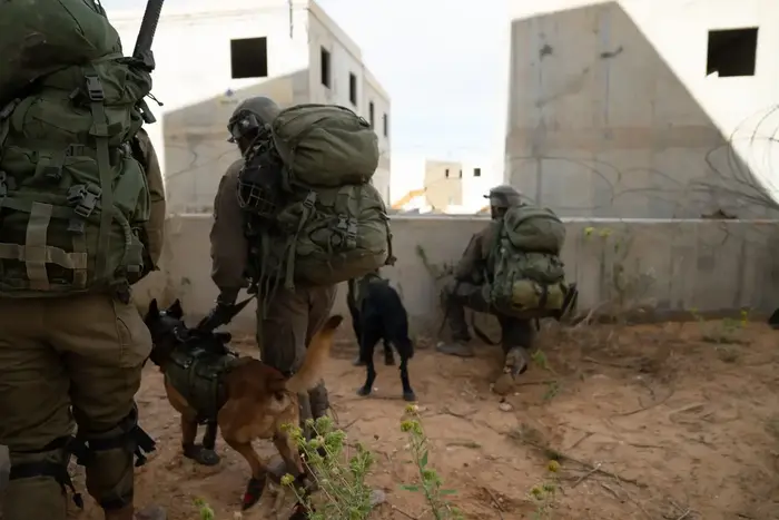 סיום תרגיל של חטיבת כפיר המסיים תקופת אימון ואימון חטיבתי המדמה תמרון ולחימה בשטח עזה כנגד ארגון הטרור "חמאס", 29 בנובמבר 2018 (מערכת וואלה! NEWS , דובר צה"ל) סיום תרגיל של חטיבת כפיר המסיים תקופת אימון ואימון חטיבתי המדמה תמרון ולחימה בשטח עזה כנגד ארגון הטרור "חמאס", 29 בנובמבר 2018 (מערכת וואלה! NEWS , דובר צה"ל)