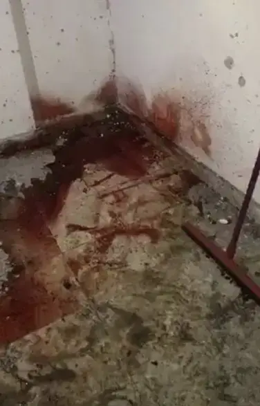 תפיסת המחבל אשרף נעאלוה בפיגוע בברקן בשכם על ידי צה"ל (מערכת וואלה! NEWS) תפיסת המחבל אשרף נעאלוה בפיגוע בברקן בשכם על ידי צה"ל (מערכת וואלה! NEWS)