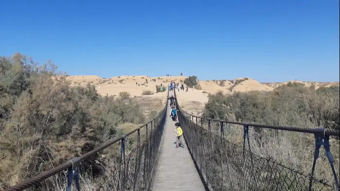 מטיילים בנחל הבשור, 15 בדצמבר 2018 (רשות הטבע והגנים , צור נצר) מטיילים בנחל הבשור, 15 בדצמבר 2018 (רשות הטבע והגנים , צור נצר)