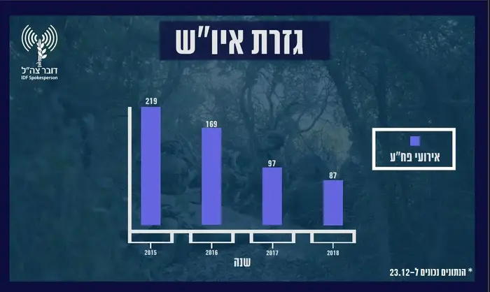 סיכום שנה בצה"ל (אתר רשמי) סיכום שנה בצה"ל (אתר רשמי)