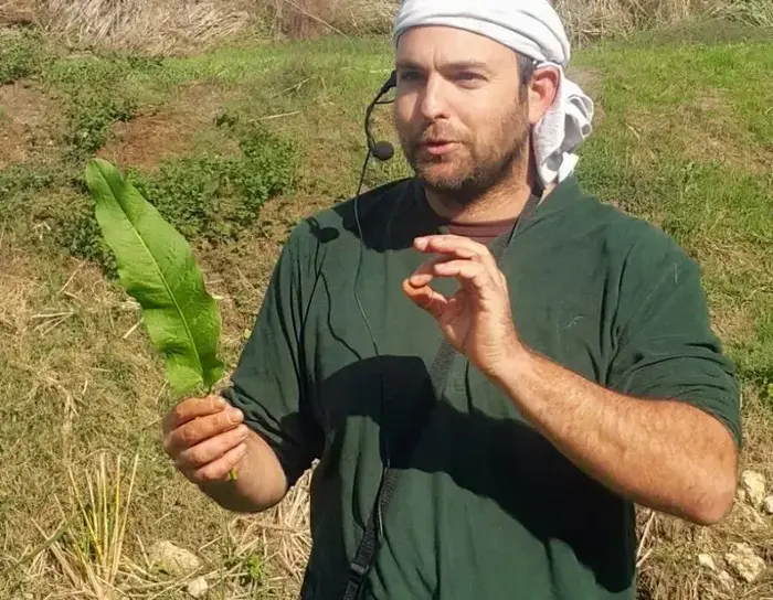 יתיר שדה (יח"צ , טל רז) יתיר שדה (יח"צ , טל רז)