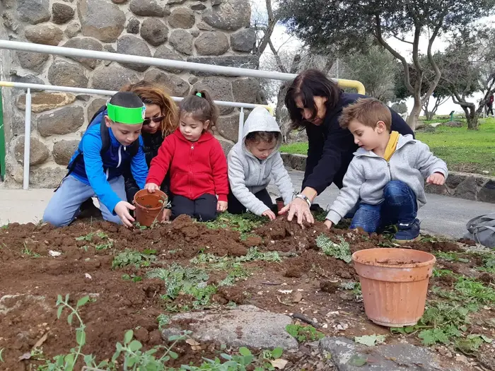 כוכב הירדן 19 בינואר 2019 (אתר רשמי , אבי דוד רשות הטבע והגנים) כוכב הירדן 19 בינואר 2019 (אתר רשמי , אבי דוד רשות הטבע והגנים)