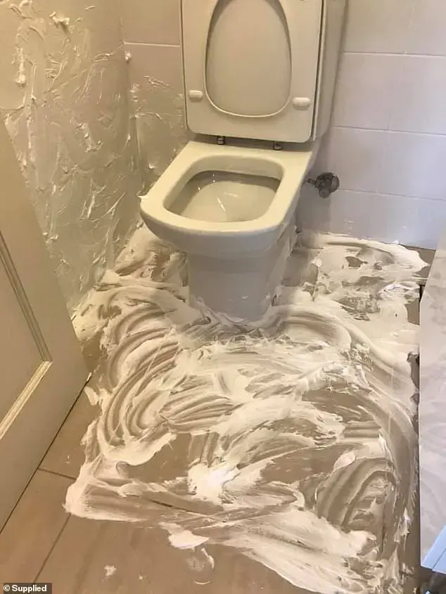 ניקוי שירותים עם קצף גילוח (אתר רשמי , Supplied) ניקוי שירותים עם קצף גילוח (אתר רשמי , Supplied)