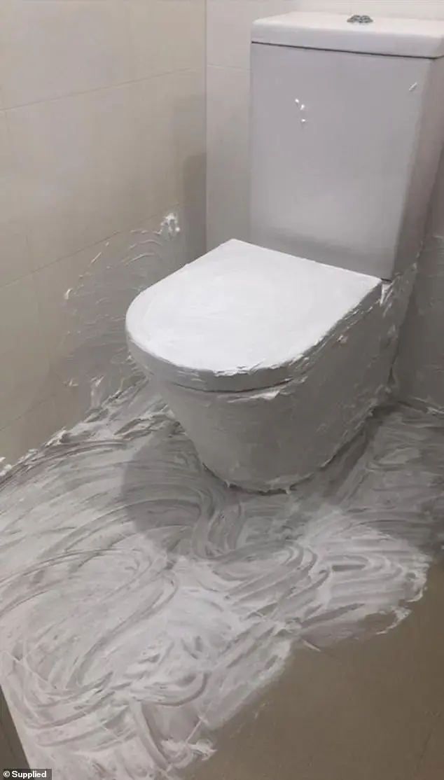 ניקוי שירותים עם קצף גילוח (אתר רשמי , Supplied) ניקוי שירותים עם קצף גילוח (אתר רשמי , Supplied)