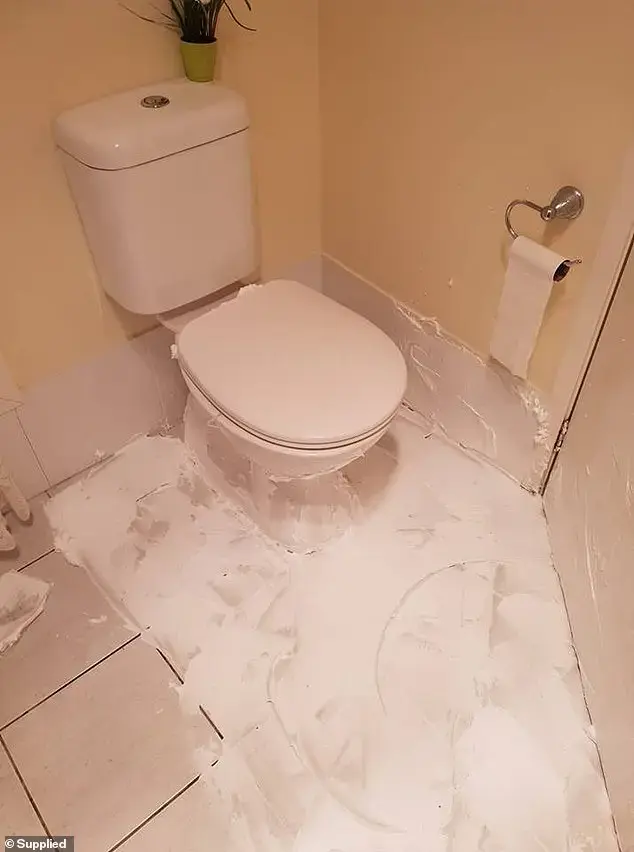ניקוי שירותים עם קצף גילוח (אתר רשמי , Supplied) ניקוי שירותים עם קצף גילוח (אתר רשמי , Supplied)