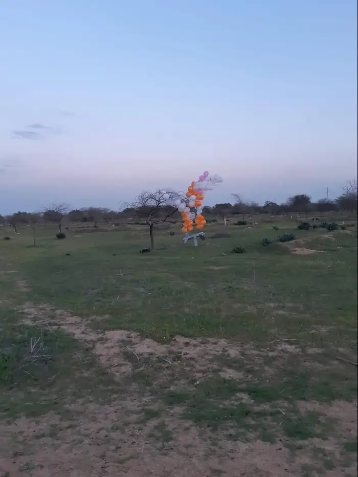 צרור בלונים המחובר לחפץ חשוד זוהה בשטח פתוח באשכול (אתר רשמי , אנשי הדממה) צרור בלונים המחובר לחפץ חשוד זוהה בשטח פתוח באשכול (אתר רשמי , אנשי הדממה)