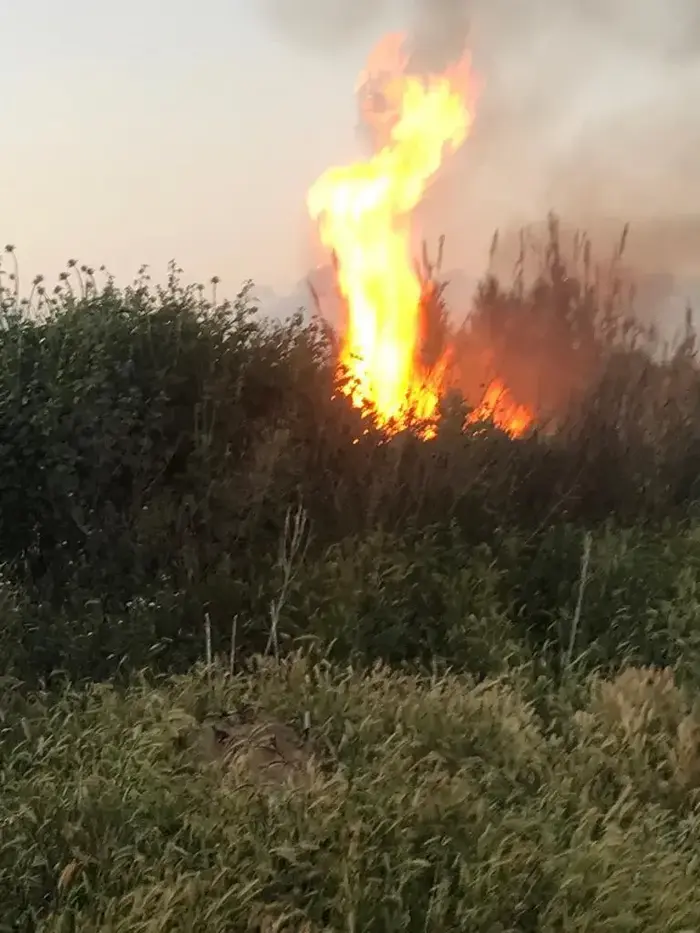 בלון תבערה מושב אשבול (מערכת וואלה! NEWS , ביטחון אשכול) בלון תבערה מושב אשבול (מערכת וואלה! NEWS , ביטחון אשכול)