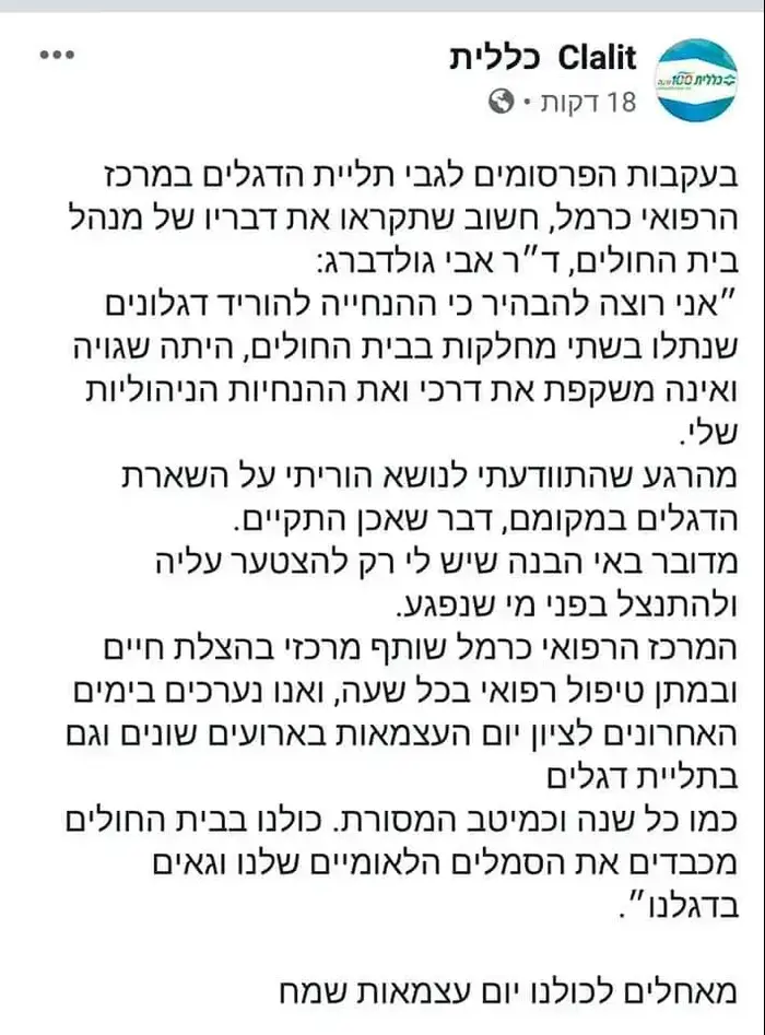 דגלים בבית חולים כרמל בחיפה (ללא שם) דגלים בבית חולים כרמל בחיפה (ללא שם)