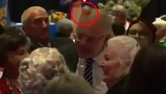 ביצה שנזרקה על ראשו של ראש ממשלת אוסטרליה סקוט מוריסון, 6 במאי 2019 (אתר רשמי) ביצה שנזרקה על ראשו של ראש ממשלת אוסטרליה סקוט מוריסון, 6 במאי 2019 (אתר רשמי)