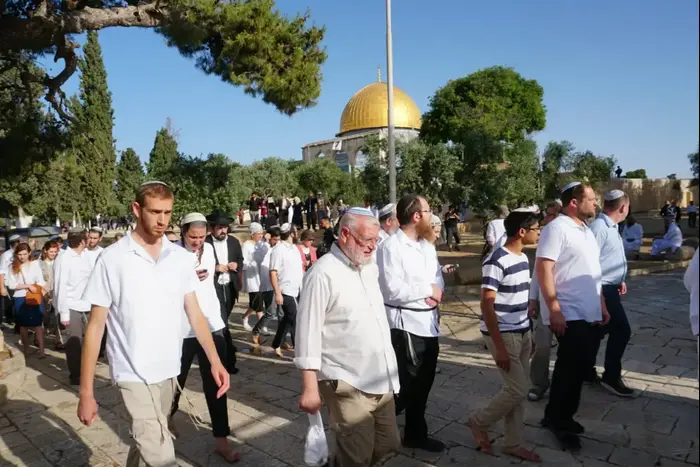 הפרות סדר בהר הבית לרגל יום ירושלים (אתר רשמי , חיים קרויזר, מטה ארגוני המקדש) הפרות סדר בהר הבית לרגל יום ירושלים (אתר רשמי , חיים קרויזר, מטה ארגוני המקדש)