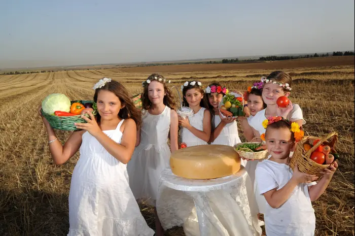 שבועות בצפון הנגב (יח"צ , חיים הורנשטיין) שבועות בצפון הנגב (יח"צ , חיים הורנשטיין)