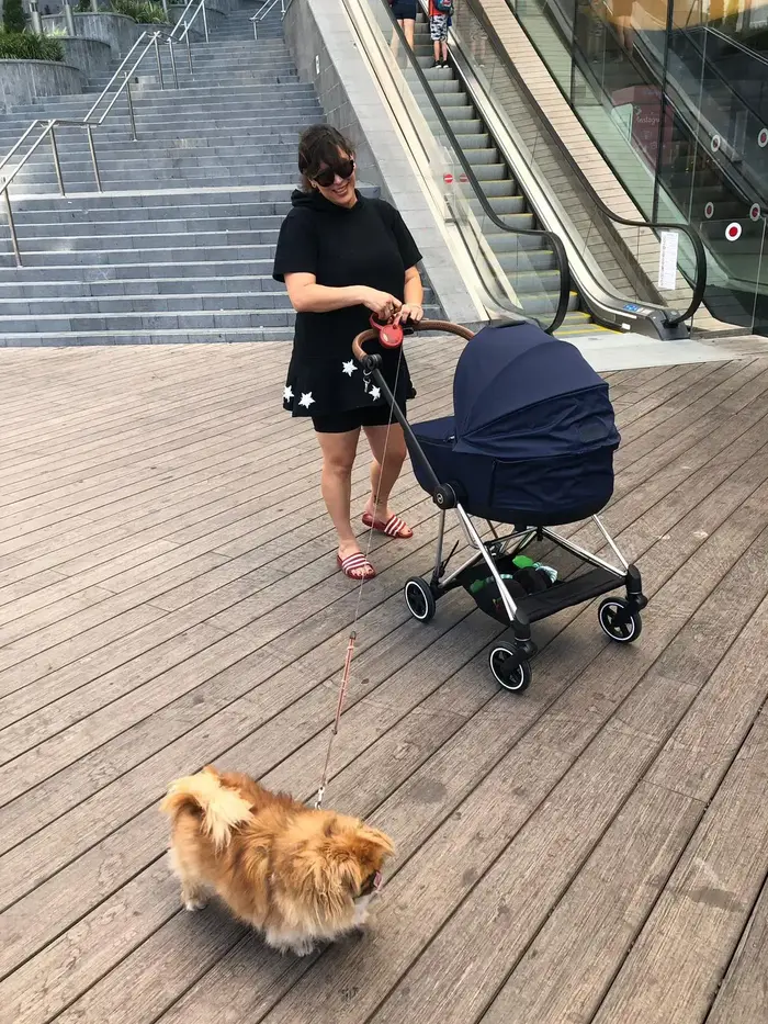לירון שמם (יח"צ , נואי סולומון) לירון שמם (יח"צ , נואי סולומון)