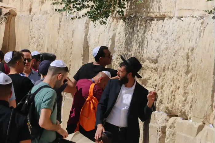 אלכס רודריגז (ניר פקין) אלכס רודריגז (ניר פקין)