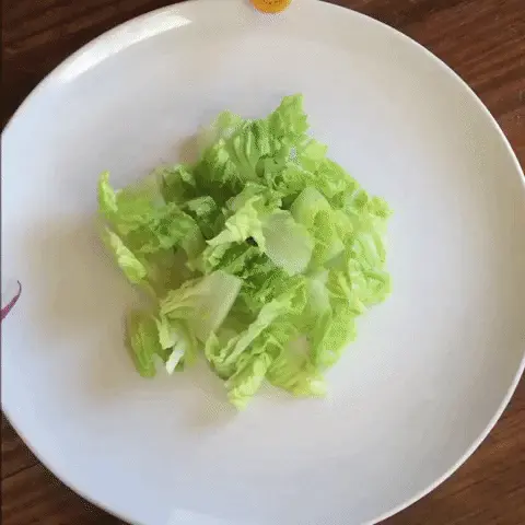 סלט ירקות (Giphy) סלט ירקות (Giphy)