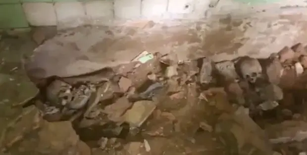 שרידים שנמצאו בבית של רודן פרגוואי לשעבר, אוגוסט 2019 (אתר רשמי) שרידים שנמצאו בבית של רודן פרגוואי לשעבר, אוגוסט 2019 (אתר רשמי)
