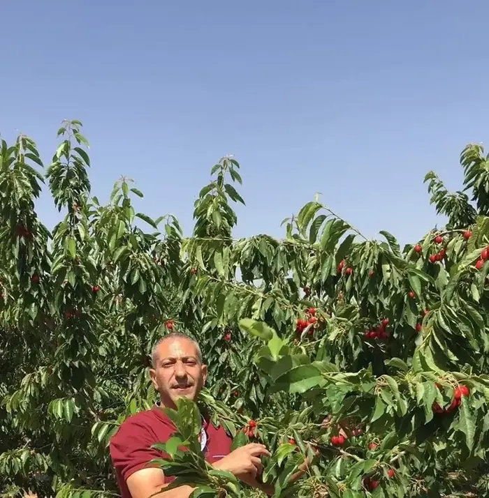 סאמר מינא סלים ערביד מבכירי החזית העממית החשוד בפיגוע בדולב שבו נרצחה רנה שנרב (ללא שם) סאמר מינא סלים ערביד מבכירי החזית העממית החשוד בפיגוע בדולב שבו נרצחה רנה שנרב (ללא שם)