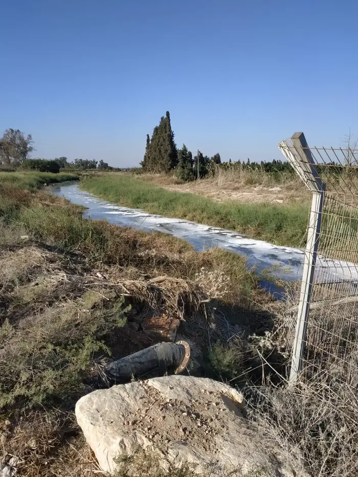 נחל אלכסנדר (ללא שם , אייל עמרמי) נחל אלכסנדר (ללא שם , אייל עמרמי)