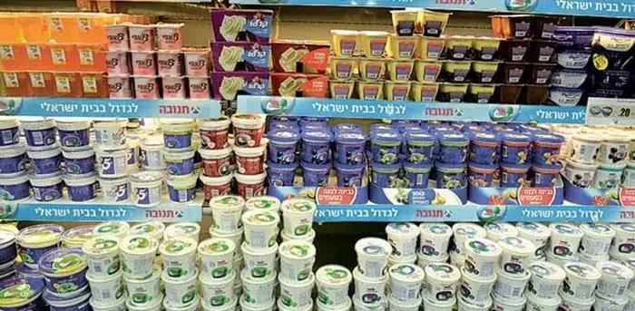 מדף של מוצרי תנובה. רשמו ירידה במכירות בחודש נובמבר (גלובס , צלמת: תמר מצפי) מדף של מוצרי תנובה. רשמו ירידה במכירות בחודש נובמבר (גלובס , צלמת: תמר מצפי)