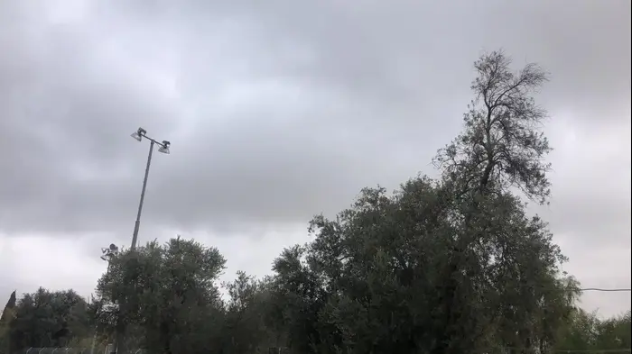 מזג אויר גשום בירושלים, 12 בדצמבר 2019 (רוני כנפו) מזג אויר גשום בירושלים, 12 בדצמבר 2019 (רוני כנפו)