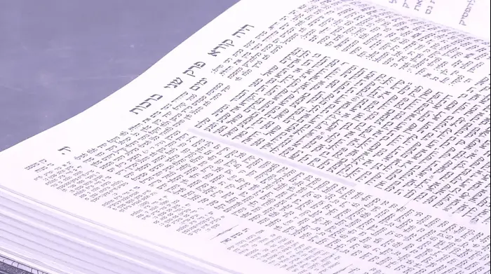 דף גמרא (צילום מסך) דף גמרא (צילום מסך)