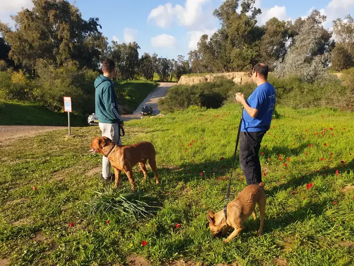 בילוי בסוף השבוע במשפחת קלדרון (אתר רשמי , שרון קלדרון) בילוי בסוף השבוע במשפחת קלדרון (אתר רשמי , שרון קלדרון)