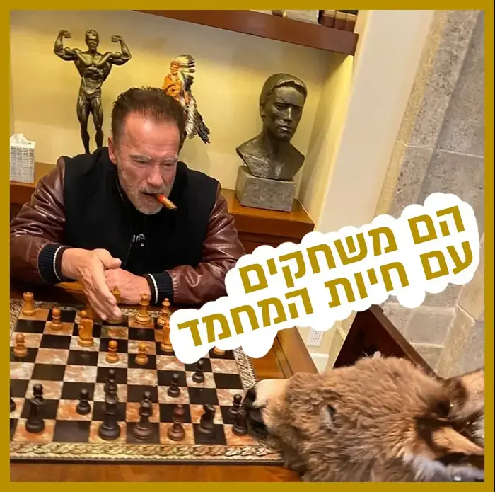 רק נראה נוצץ 4.4.2020 (צילום מסך , אינסטגרם) רק נראה נוצץ 4.4.2020 (צילום מסך , אינסטגרם)