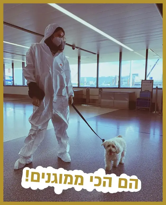 רק נראה נוצץ 6.6.20 (צילום מסך , אינסטגרם) רק נראה נוצץ 6.6.20 (צילום מסך , אינסטגרם)