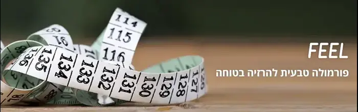FEEL (יח"צ) FEEL (יח"צ)