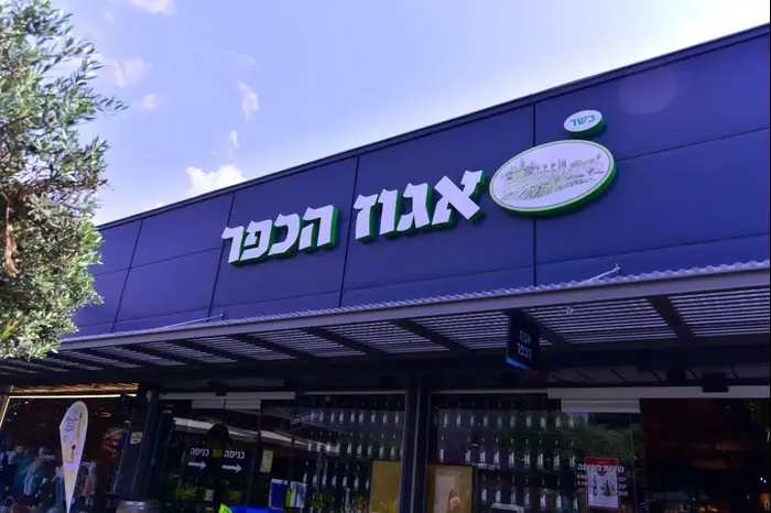 אגוז הכפר (יח"צ) אגוז הכפר (יח"צ)