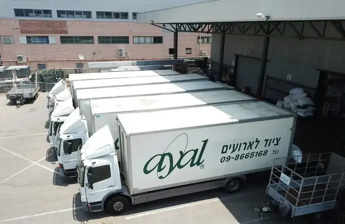 גיא אייל ציוד לאירועים (יח"צ) גיא אייל ציוד לאירועים (יח"צ)
