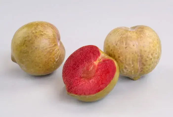 שזיף אבטיח (יח"צ) שזיף אבטיח (יח"צ)