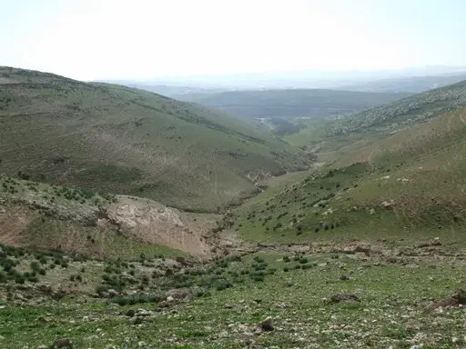 כפר אדומים (החברה להגנת הטבע , בעז שחם) כפר אדומים (החברה להגנת הטבע , בעז שחם)