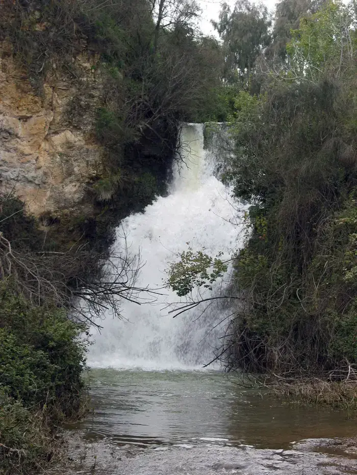 נחל עיון מפל הטחנה (רשות הטבע והגנים , גלילי גלזמן) נחל עיון מפל הטחנה (רשות הטבע והגנים , גלילי גלזמן)