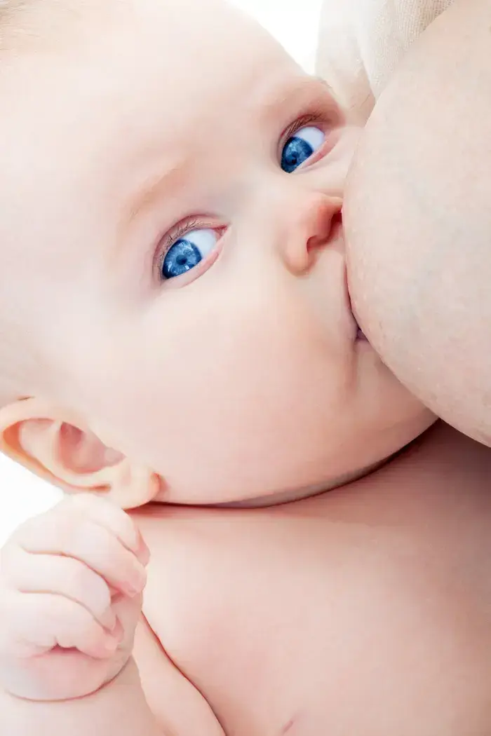 תינוק יונק (ShutterStock)
