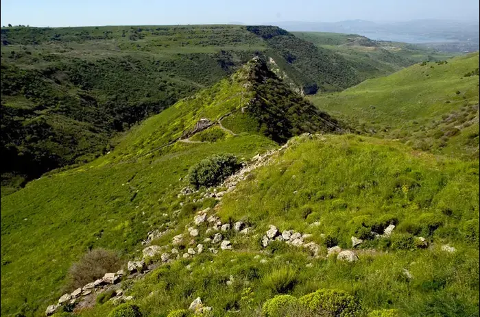 טיפ טיול גמלא (רשות הטבע והגנים , דורון ניסים) טיפ טיול גמלא (רשות הטבע והגנים , דורון ניסים)
