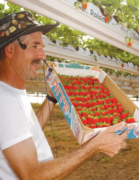 אדום עז יום חופש ביישובי עוטף עזה (יח"צ , חגית גלבר) אדום עז יום חופש ביישובי עוטף עזה (יח"צ , חגית גלבר)