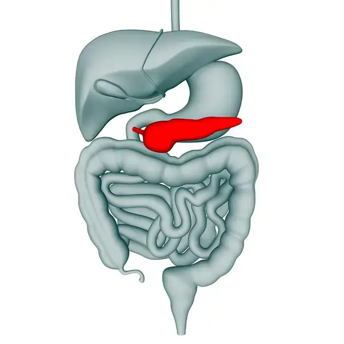 אילוסטרציה (ShutterStock) אילוסטרציה (ShutterStock)