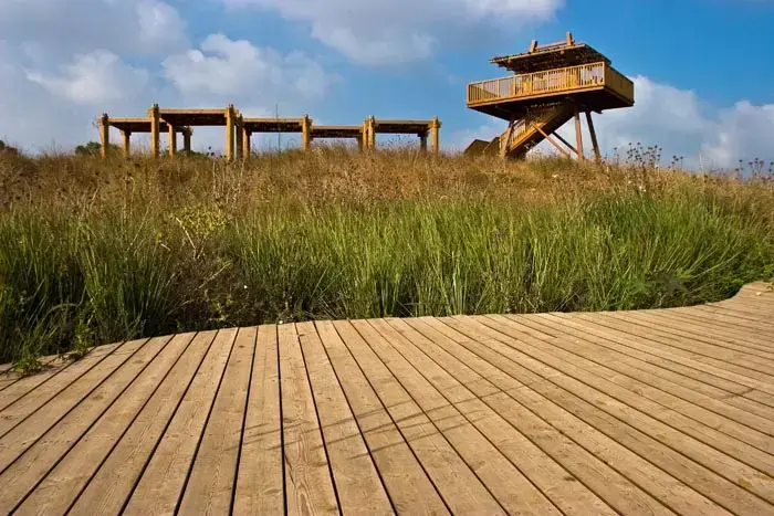 נחל אלכסנדר (דורון ניסים) נחל אלכסנדר (דורון ניסים)