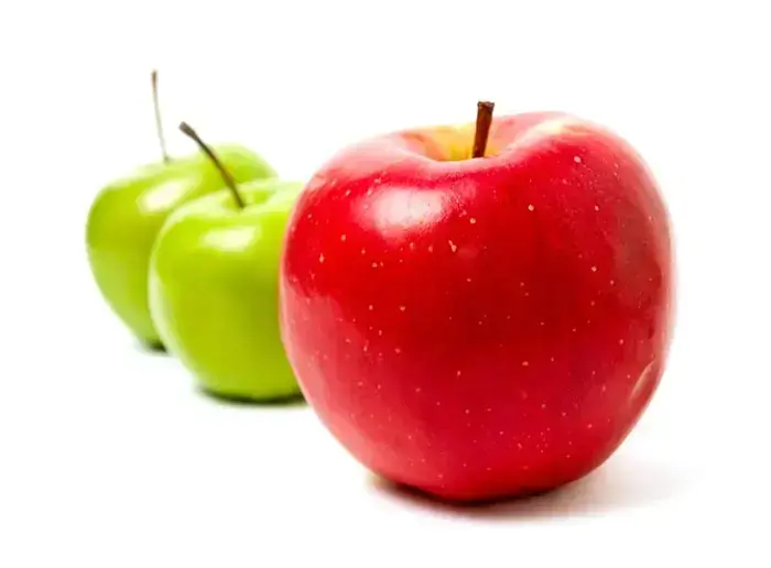 אילוסטרציה (ShutterStock) אילוסטרציה (ShutterStock)