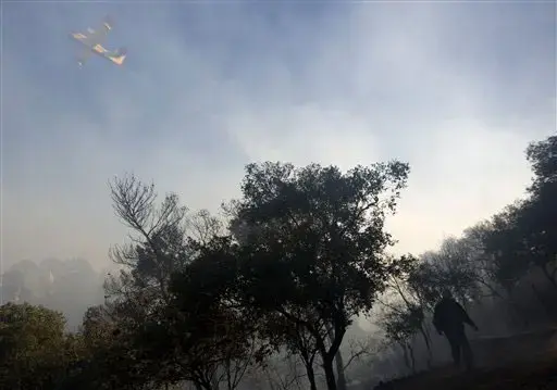 שריפה בכרמל, יום שבת (AP) שריפה בכרמל, יום שבת (AP)