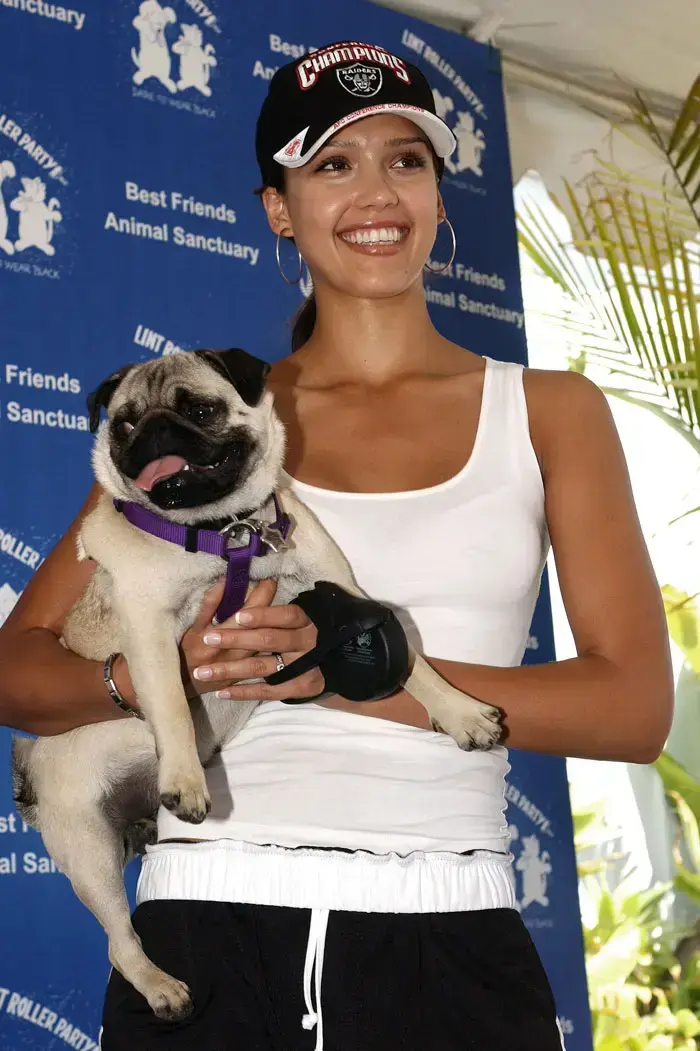 ג'סיקה אלבה (GettyImages , Vince Bucc) ג'סיקה אלבה (GettyImages , Vince Bucc)