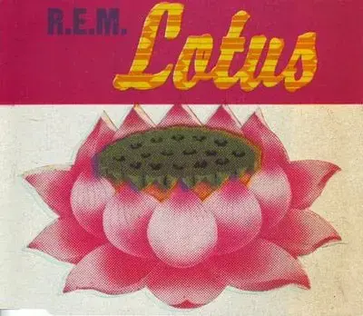עטיפת הסינגל "Lotus" של REM (סריקה) עטיפת הסינגל "Lotus" של REM (סריקה)
