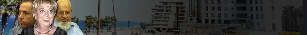 מרים פיירברג בחתונתם של ציפי חוטובלי ואור אלון. מאי 2013 (ניב אהרונסון)